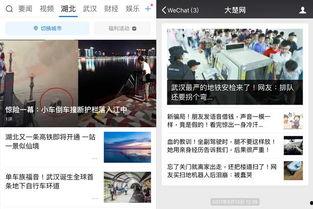 新闻爆料声音,真相与谣言的较量